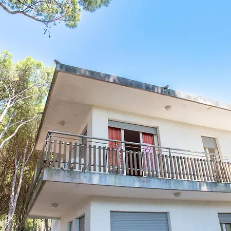 Spacious First-floor Flat Near The