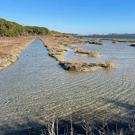 Spacious First-floor Flat Near The