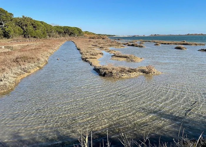 Spacious First-floor Flat Near The